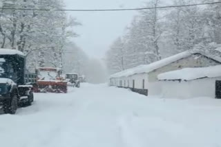 Heavy snowfall in Kullu