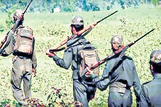460 Naxals killed, 161 security personnel dead since 2018: RTI data