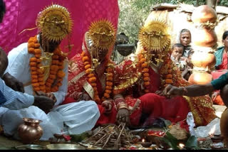 A man marriage with two girls in bastar chhattisgarh