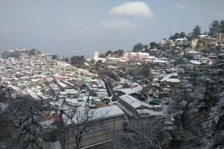 himachal Yellow alert on fog