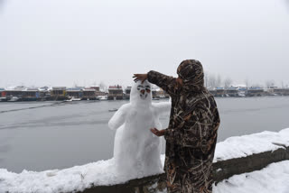 snowfall covers Kashmir valley