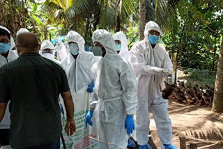 BIRD FLU SPECIAL TEAMS At Kottayam  BIRD FLU Kottayam  BIRD FLU SPECIAL TEAMS At Kottayam udate  പക്ഷിപ്പനി  കോട്ടയത്ത് പക്ഷിപ്പനി  കോട്ടയത്ത് പക്ഷിപ്പനി വാര്‍ത്ത  കോട്ടയം വാര്‍ത്ത