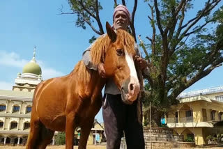 horse  പള്ളി മുറ്റത്ത് കൗതുകം നിറച്ച് ഒരു സുന്ദരൻ കുതിര  പള്ളി മുറ്റത്ത് ഒരു കുതിര  കുതിര  കാസർകോട് തളങ്കരയിലെ മാലിക് ദീനാർ പള്ളി  മാലിക് ദീനാർ പള്ളി  കാസർകോട്  കർണാടകയിലെ തുംകൂർ  തുംകൂർ  പള്ളിയിലെ കുതിര  thalankara horse  handsome horse with curiosity in the church yard  horse in the church yard  horse in church  kasargod  thalankara  karnataka  thumkoor  malik dinar church  horse in malik dinar church