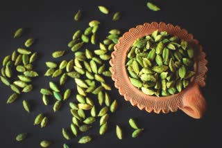 benefits of Cardamom