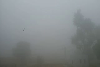 Rajasthan latest news, Rajasthan weather update
