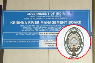 krisha river board