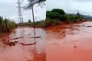 water-rushes-into-cane-crop