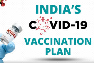 plan for vaccine roll out in India