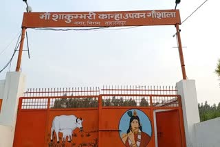 गौशाला को बनाया जाएगा आत्मनिर्भर.