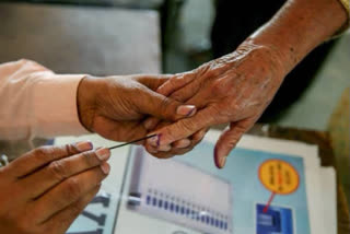 Maharashtra local body polls