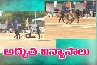 dazzling octopus team at a state police duty meet