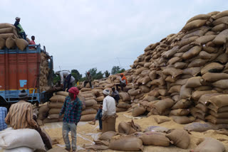 Nodal officer inspected crop sales centers in katni