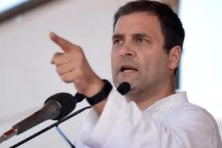 Shiv Sena lauds Rahul gandhi