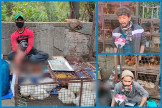 Even after outbreak of bird flu, customers gather at chicken shops in South Delhi