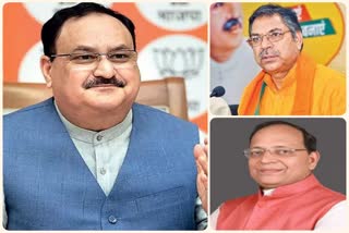 JP Nadda Rajasthan visit, राजस्थान न्यूज