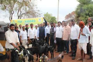 Nabard state Chief General Manager YK Rao visited Sangareddy district.