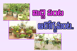 farming vegetables in  Terrace