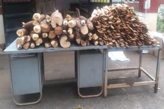 Arrest of thieves who stole sandalwood at bangalore