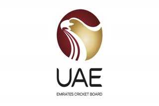 United Arab Emirates cricket team