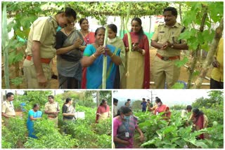 നൂറുമേനി വിളയിച്ച് കാക്കിക്കുള്ളിലെ കര്‍ഷകര്‍  idukki cops success with organic farming  idukki  idukki police  ഇടുക്കി  ഇടുക്കി ജില്ലാ വാര്‍ത്തകള്‍