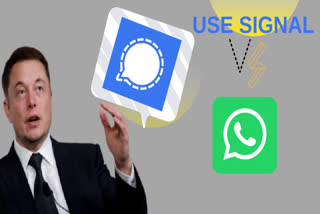 elon musk, signal messaging app