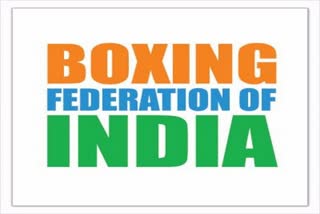 Boxing Federation of India elections to be held on February 3