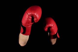 Boxing federation elections on Feb 3