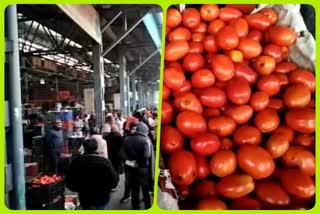 Tomato prices fall in Azadpur vegetable mandi due to rain