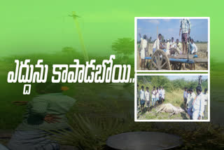 farmer died at mittasomapuram