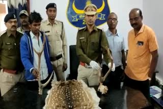 smuggler-arrested-with-deer-skin-and-horn