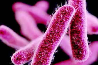 Fresh shigella case reported in Kerala