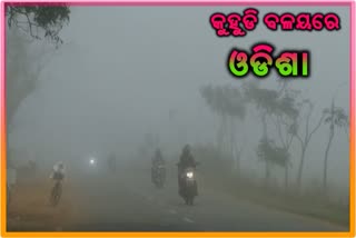 ଆସନ୍ତା 2 ଦିନ ଘନ କୁହୁଡି ବଳୟରେ ଓଡିଶା