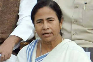 cm mamata banerjee