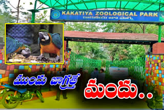 Bird flu outbreak: Vigilant Kakatiya zoo officials in Warangal