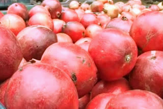 pomegranate got golden price