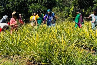 Congress members engaged in agricultural activities