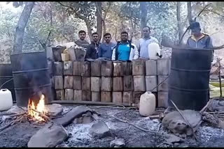 Moha sadva and liquor seized by yavatmal police
