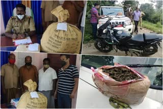 Cannabis mafia active in Idukki  Cannabis mafia in Idukki  idukki ganja  ഇടുക്കിയെ പിടിമുറുക്കി കഞ്ചാവ് മാഫിയ  കഞ്ചാവ് മാഫിയ  ഇടുക്കി കഞ്ചാവ്