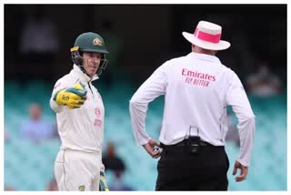 Paine loses cool after unsuccessful review