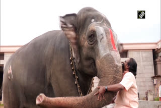 Mahout and elephant talk in gestures; video goes viral