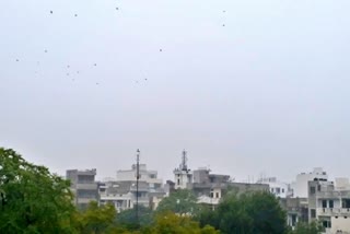 rajasthan weather update news, possibility of dense fog, rise in night temperature, राजस्थान का मौसम, मौसम की ताजा खबर, मौसम की ताजा अपडेट, जयपुर में मौसम, जयपुर लेटेस्ट न्यूज, पश्चिमी विक्षोभ सक्रिय