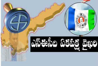 ycp leaders on local elections