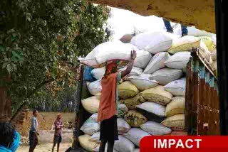 Paddy purchase started in latehar