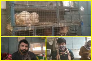 Meat traders facing problems in CR Park of Delhi due to spread bird flu