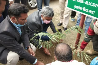 Jeevika CEO plantation in araria