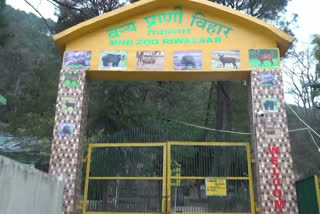 Rivalsar Zoo