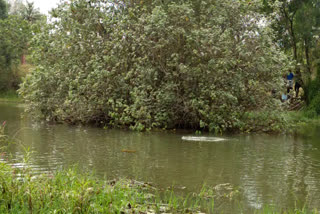 കൊല്ലത്ത് വിദ്യാര്‍ഥി മുങ്ങി മരിച്ചു  9th standard student drowned in river in kollam  ഫോട്ടോ ഷൂട്ടിനെ 14കാരൻ മുങ്ങി മരിച്ചു  boy drowned in river during photoshoot