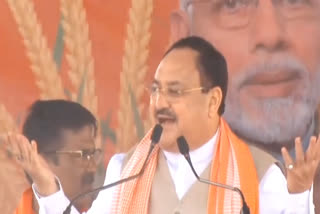 mamata government has stolen the Central projects, said J P Nadda