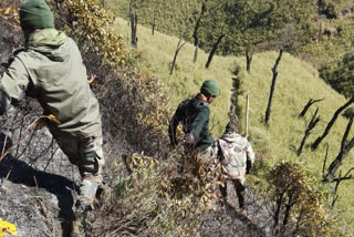 security forces deployed in northern part of dzukou valley to douse the raging fire