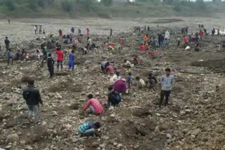 River digging in search of gold and silver coins